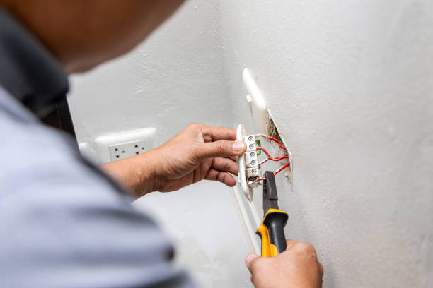 Best Electrical System Inspection  in Waverly, VA